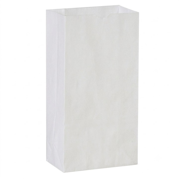 PAPER WHITE BAG #2 (500)